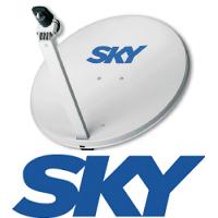 Lee más sobre el artículo Sky Digital emitirá la F1 en 3D
