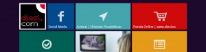 Lee más sobre el artículo Nuevo diseño y estructura para Diesl.com