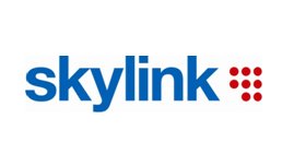 Lee más sobre el artículo Nuevos canales en la plataforma Skylink