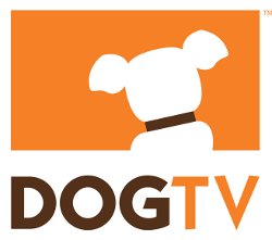 Crean en Estados Unidos un canal de televisión para perros